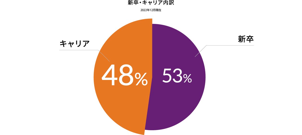 新卒・キャリア内訳グラフ